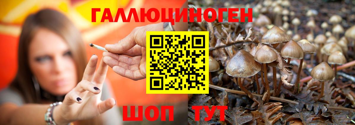 Галлюциногенные грибы MAGIC MUSHROOMS  Вход с VPN  Первоуральск 